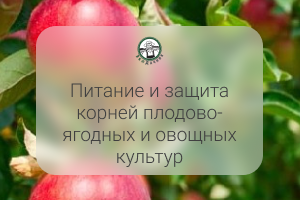 Питание и защита корней плодово-ягодных и овощных культур