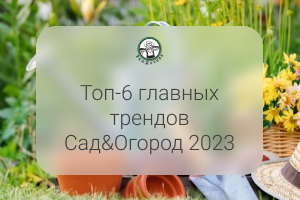 Топ-6️главных трендов Сад&Огород 2023